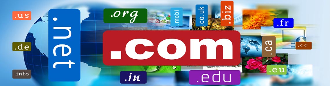 Domain Booking